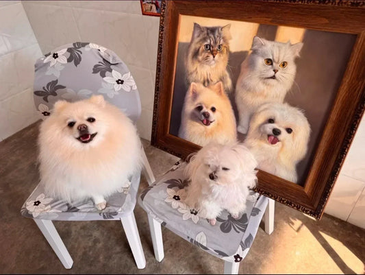 Best Personalized Gifts for Dog Moms: 12 Meaningful Ideas Featuring Her Dog