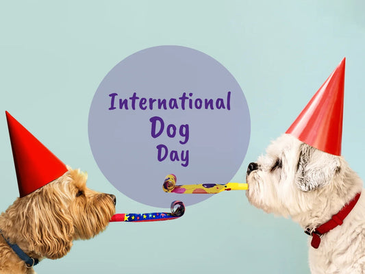 International Dog Day: Gifts for Dog Lovers | August 26