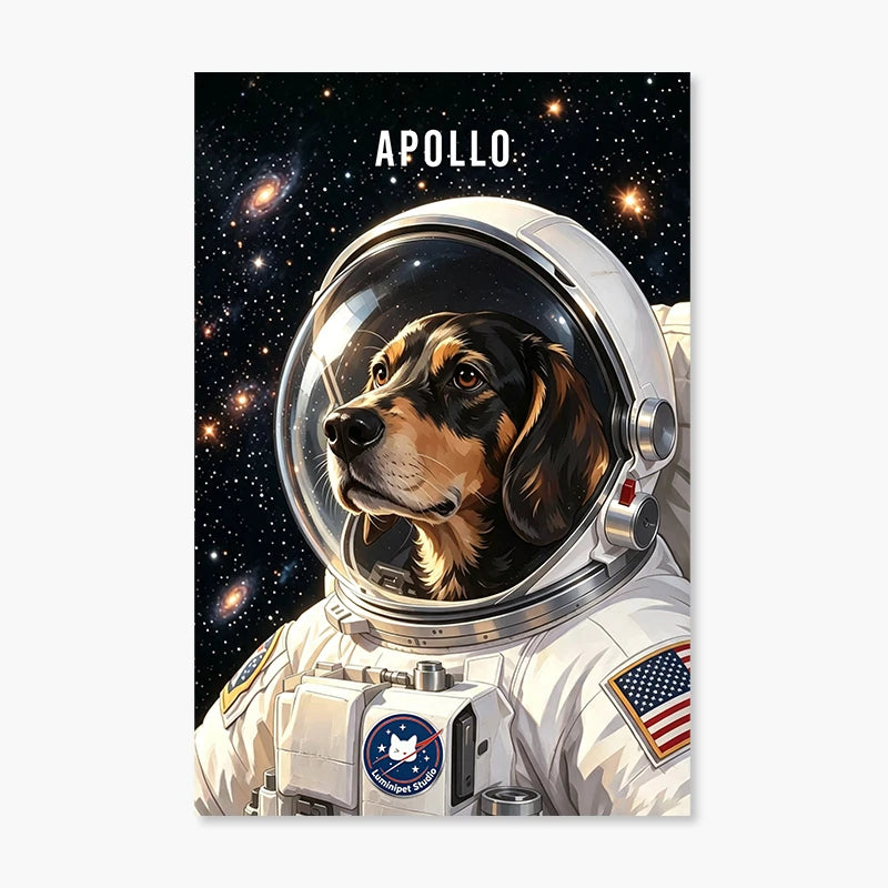 Astronaut
