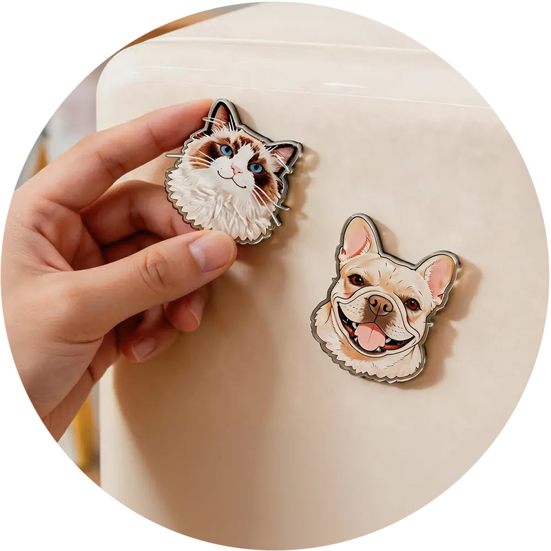 Magnet
𝐹𝑟𝑜𝑚 $29