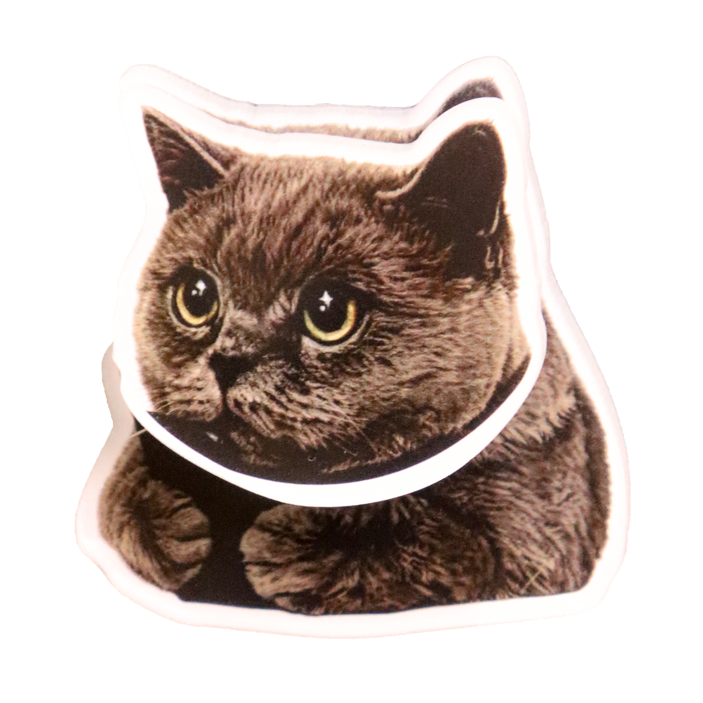 Custom Pet Portrait Fridge Magnet