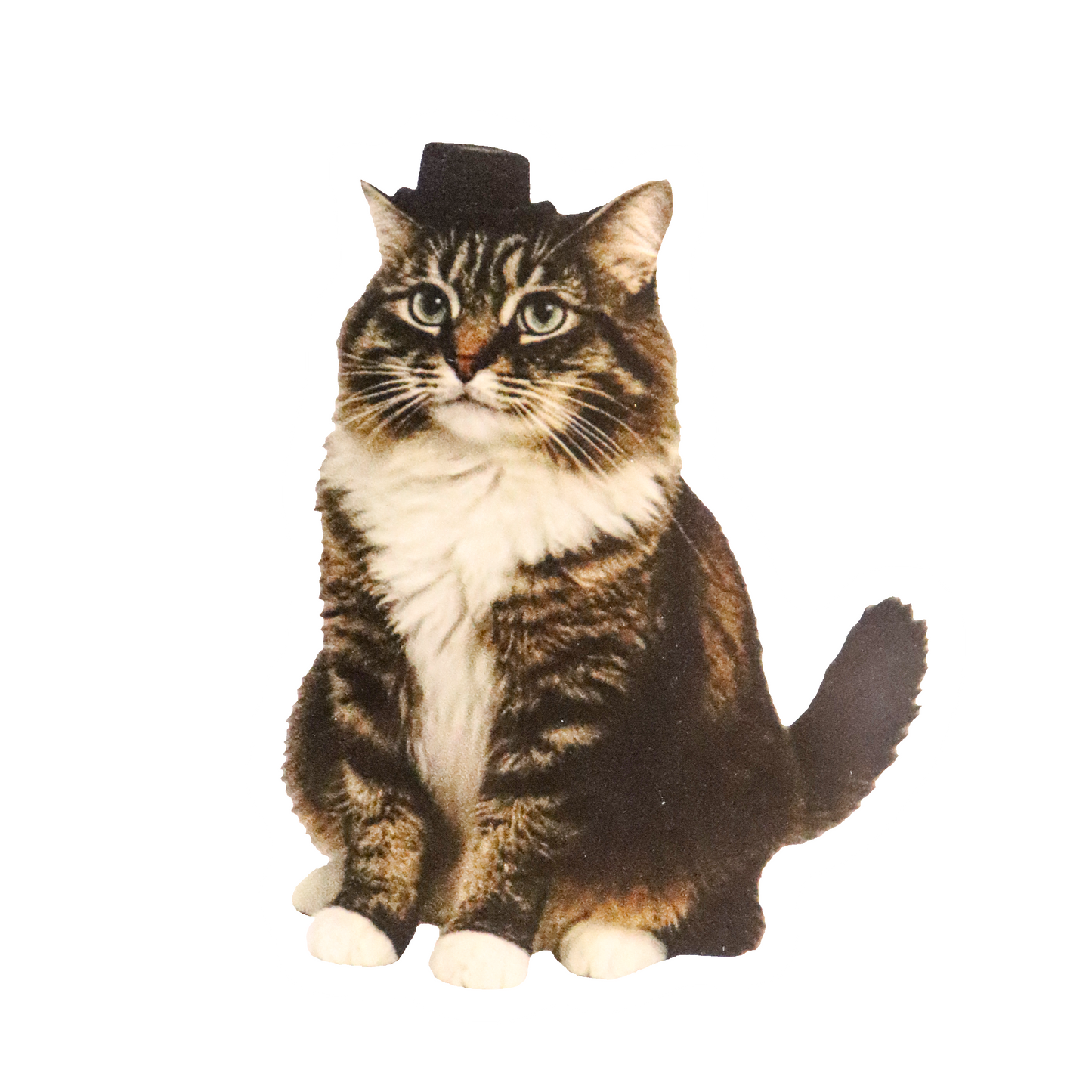 Custom Pet Portrait Fridge Magnet