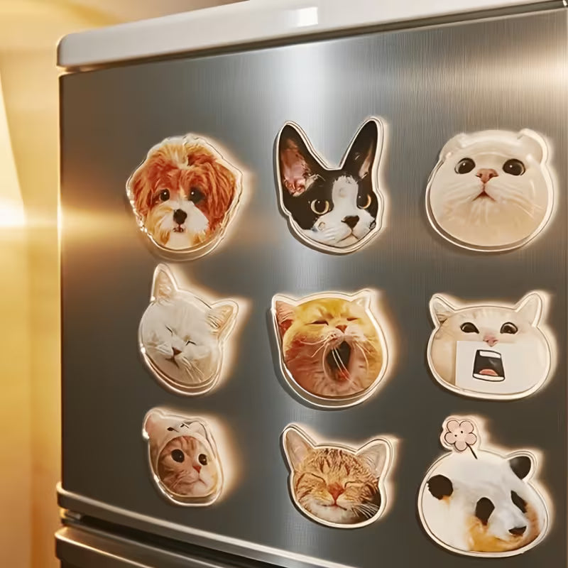 Magnet
𝐹𝑟𝑜𝑚 $29