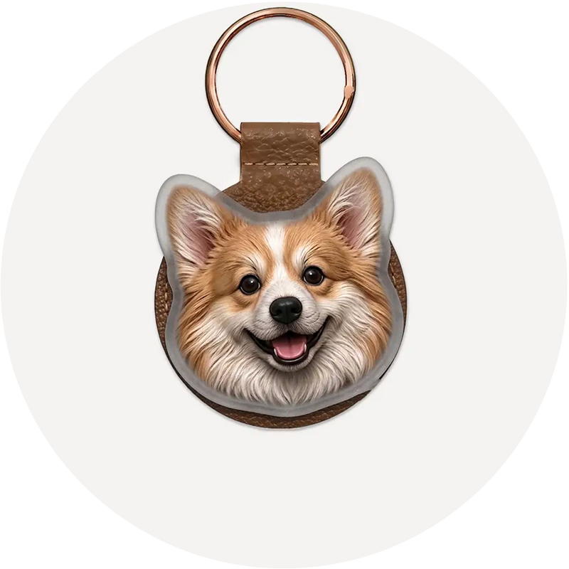 Keychain
𝐹𝑟𝑜𝑚 $39